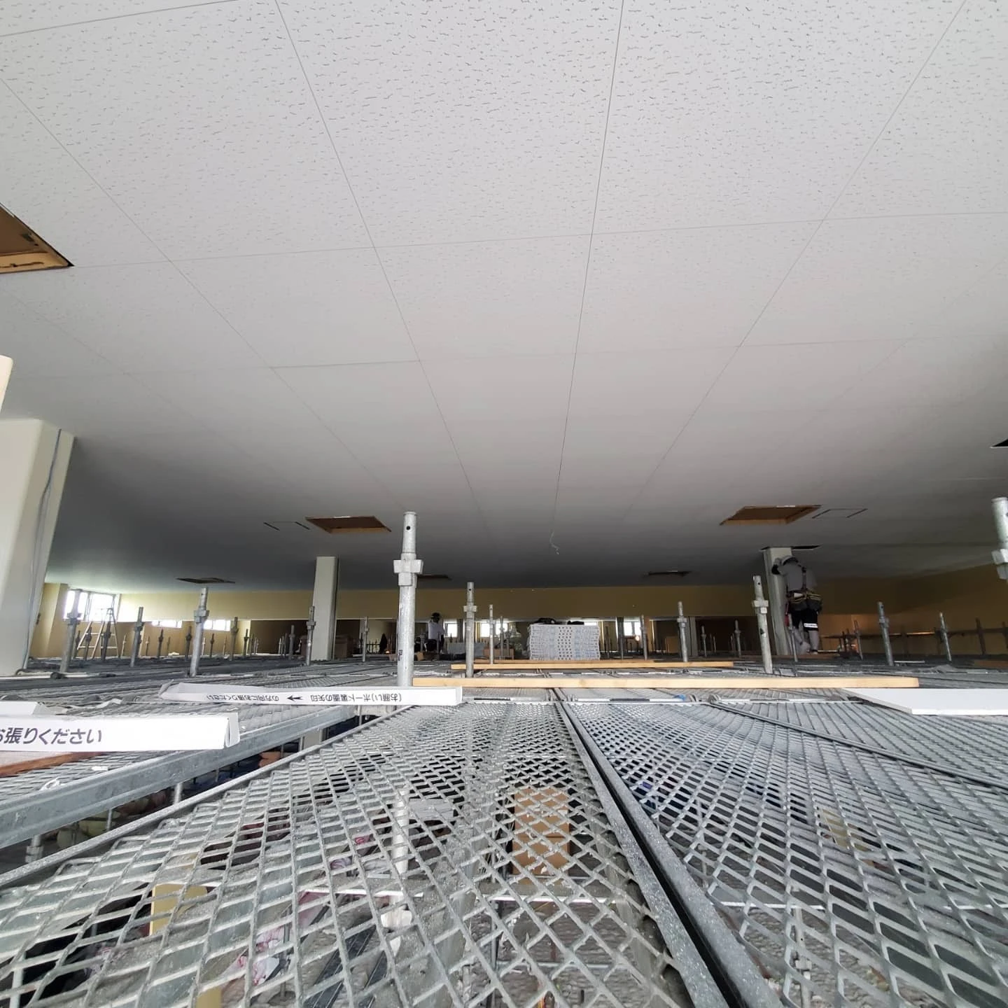 東京